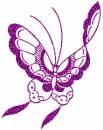 purple butterfly 