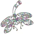 multy color dragonfly
