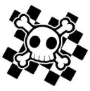 checkerd skull