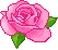 flor-08
