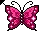 pink butterfly