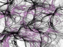 Abstract