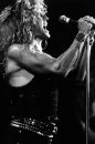 David Coverdale