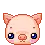 cute pig