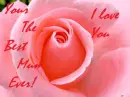 Mum