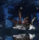 fairy