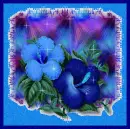 Pretty Purple