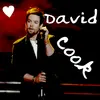 David Cook