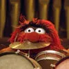 Animal! my lil drummer