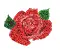 tinyrose