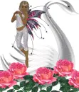 Swan