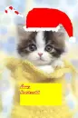Christmas kitten