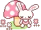 rabbit