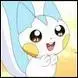 cute! pachirisu!