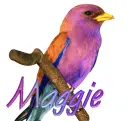 Bird-Maggie