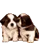 puppy love