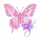 Tulip butterfly