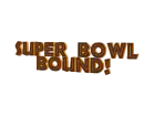 Browns  are Super Bowl Bound