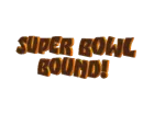 Cleveland Browns Super Bowl Bound