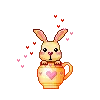 cute bunny