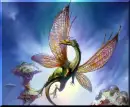 fairy dragon