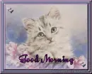 Good Morning