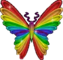 rainbow butterfly
