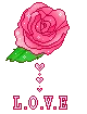 rose