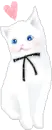 white kitty