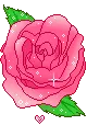 rose