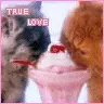 true love