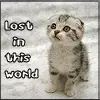 lost in this world