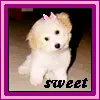 sweet