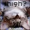 high?