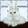 little princess