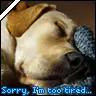 sorry im to tired
