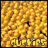 duckies