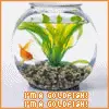 goldfish