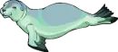 seal