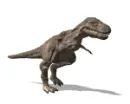 t-rex