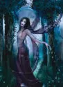Dark Fairy