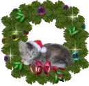 Christmas Kitty in Wreath