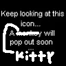 --kitty
