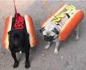 hot dog