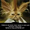 syko cat