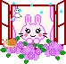 Bunny In Window