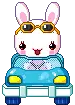 Bunny Car