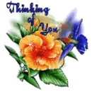 Thinking of You