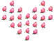 Love roses
