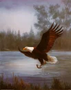 eagle